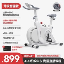 튼튼한 스피닝 자전거 실내 사이클 유산소 홈트 헬스 바이크 좌식 운동기구, 아이보리/스마트 전자제어 차단/배달/AI시스템