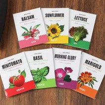 꿈쟁이 1종 씨앗봉투 4종 나팔꽃, 1개