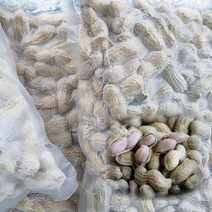 [땅끝파머스] 2022년 급냉 해남 햇땅콩 삶고 급속냉동한 신선한 피땅콩 1.2kg 냉동진공포장 해남황토땅콩, 급냉 삶은피땅콩 1.2kg