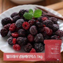 웰프레쉬 냉동베리믹스 1kg