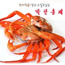 산지직송 [경북영덕]영덕박달홍게 7마리 (마리당 350g내외 수율80~90%), 단품없음