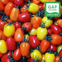 웰굿 [GAP인증] 산지직송 경남 진주 애플 방울 토마토 1kg, 1