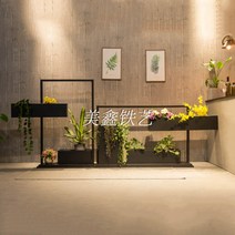 관엽 식물 화분 은행목 행운화 호야 꽃 스투키물주기, 블랙 180x35x90 미디엄