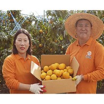 꿀당도황금향 (황금향선물용) (황금향가정용) 2kg 3kg 5kg 황금비율의 맛과 향기 과즙까지 풍부합니다. 고급감귤만감류, 1박스, 3.황금향5kg 소과벌크(가정용)