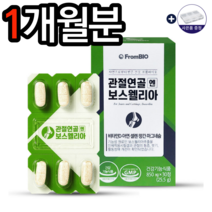 프롬바이오 관절연골 엔 보스웰리아 850mg x 30정 이병헌보스웰리아 보스웰리아효능 홈쇼핑보스웰리아 관절에좋은음식 뼈골절에좋은음식 무릎관절 영양제 추천 알약케이스, 1개월분