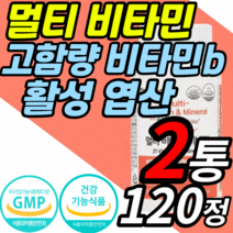 종합 비타민 활성 형 엽산 고함량 비타민 b군 c e 멀티 미네랄 성장기 어린이 청소년 임산부 출산후 수유부 남성 여성 실버 수험생 고3 올인원 영양제 비타민 b12 a b c d, 2통, 120정
