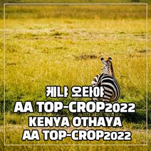 (커피생두)34 케냐 오타야 AA TOP 1kg
