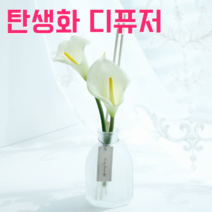 탄생화 디퓨저 선물 세트 10월 탄생화 카라 남자 친구 여자 친구 남사친 여사친 언니 선생님 직장동료 생일선물 집들이선물 결혼선물 실내 디퓨저 실내 방향제 디퓨져, 아카시아, 120ML