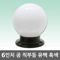 6인치 공 직부등 흑색 유백 야외 외부 야외조명 외부등 방수등 욕실등 다용도실 베란다 간판 펜션 현관 볼직부등 직부조명 외부직부등 공직부등 방습조명 원형 조명 공조명 인테리어