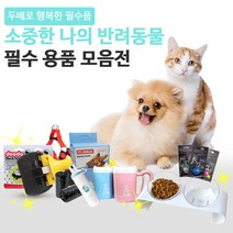 강아지 고양이 용품 악세사리, 1개, 해충방지 목걸이_오렌지