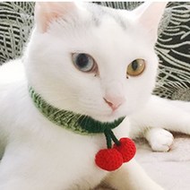 DOG CAT 강아지 고양이 뜨개 케이프 체리 스카프 1P, 07케이프-블루S
