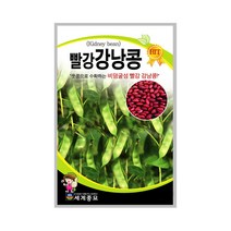 빨강강낭콩 30g 강낭콩씨앗 비넝쿨성 토종재래종 품종, 단품