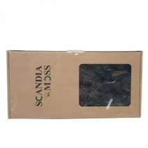 천연이끼 스칸디아모스 아이스블루(500g) - 공기정화 기능 관리쉽고 그늘에서도 잘 자라는 인테리어 식물 취미 원데이 클래스 디퓨저 화분 만들기(2개 이상 주문배송)