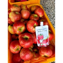 명품 생사과즙 평창 금당골농원사과즙 100ml, 20팩