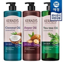 애경 케라시스 내추럴 레시피 오일 샴푸/린스 1L x2개, 코코넛오일 샴푸+컨디셔너