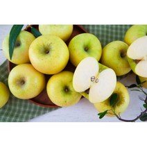 황금사과 시나노골드 아삭사과, 대과 10~12과(5kg)