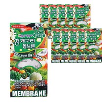 청개구리 멤브렌 피톤치드향 10개입, 10개
