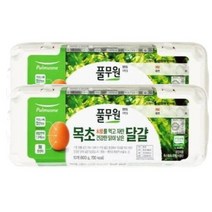 풀무원 우리가족반찬 건강한끼 식자재 목초달걀 건강하 닭이 낳은 특란 600g 10구, 2개