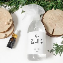 건파더 편백수 100% 피톤치드 탈취제 잎새수 500ml, 1개