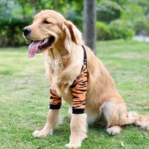 쓸개골 탈구 강아지쓸개골보호대 강아지관절보호대 개꿈치 보호대 보호대, 회색, 4xl