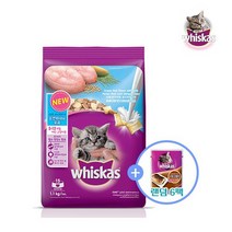 [위스카스 건식+습식] 포켓 주니어 오션피쉬 1.1KG+파우치 6팩