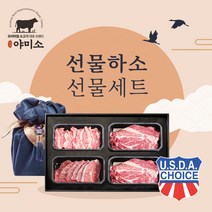 야미소 미국산 초이스급 냉장 소고기 선물세트 선물하소, 1kg세트: 알목심+토시살