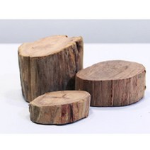 [바보사랑] 세틀 고급절단유목(Special 높이3.0 CM) 활착망, 상세 설명 참조, 상세 설명 참조