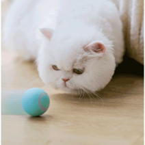 스마트볼 강아지 고양이 스마트캣볼 자동공, 핑크