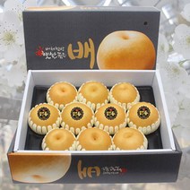 나주 전통 꿀배 신고배 선물세트 5kg 7.5kg, 5kg 8~9과