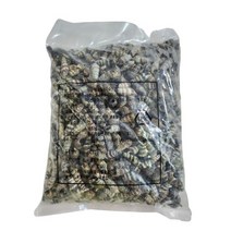 냉동 자숙 갯고동 1kg 다슬기 고동 안주용, 1개
