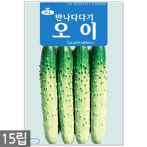 땅콩 씨앗 30g - 씨 땅콩씨앗 땅콩씨 콩씨앗 콩씨 견과류 주말농장 텃밭, 04_만나다다기오이(15립)