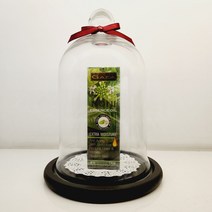 가이아 노니 에센스 오일 GAEA NONI ESSENCE OIL, 1개, 30ml