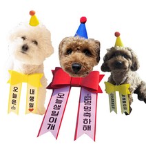 강아지화환모자세트 반려동물생파 고양이돌 미니리본 화환리본문구 애견돌잔치, 3. 노랑(모자+리본) S