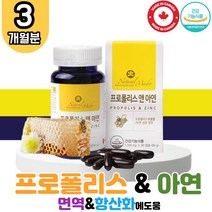 대용량 프로폴리스 아연 1박스 식약처 인증 캐나다 직수입 네츄럴메이드 비 프로 플로 폴리 폴리스 풀리스 플라 폴라 보노이드 목이물감 면역력높이는 목관리 잔기침 환절기 구강 항균 항산화 영양제 BEE PROPOLIS