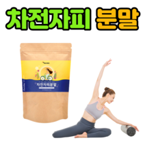 인도산 에너데이 차전자피 분말 500g 영양 밸런스 간편 건강 관리 다이어트 차전차피 자전자피 자전차피 자전피 차전피 시기섬유 식이서뮤 차전 자전 차천 차천자피 차피