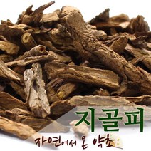 지골피 중국산 300g