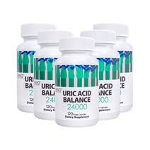 이노핼스엔케어 요산 밸런스 24000 120캡슐 요산배출 통풍에좋은 샐러리 씨앗, 5개(-할인), 5개