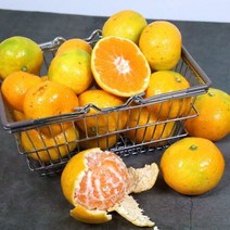 (철따라농산물) 제주 서귀포 노지 감귤 밀감 가정용 노지감귤 2s 소과 2.5kg(실중량)