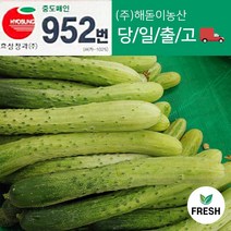 <해돋이농산> 백다다기오이 다다기오이 백오이 지오이 특품 15개 30개 50개” class=”wr-img”></a></div></div></div></div><div class=