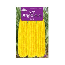 (CN) 초당옥수수-노랑 씨앗 (100립)