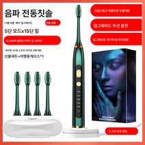 가정용 진동연모 전동칫솔 충치기 충전대 자동초음파식 성인칫솔 발렌타인 선물, [화려한녹색]자기부상지능형15Th기어+선물상자+보관함, [8 브러쉬 머리]