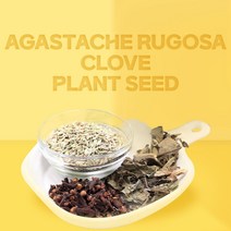 더건강한샵 곽향 정향 회향 산미나리씨 펜넬 세트 어진향차 재료, 1개, 900g