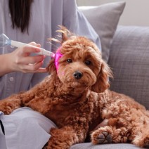 이어펫 반려동물 LED 귀관리용품 귀세정제 염증치료기, 이어펫 1개