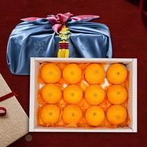 진정따옴 천혜향선물세트 제주 천혜향 2kg 3kg 산지직송 고당도 가정용 프리미엄 선물용 설 명절 과일 선물세트 보자기, [진정따옴] 천혜향 선물세트 1호