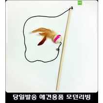고양이 정신 쏙 빼놓는 오감자극 장난감 아기고양이키우기 아기고양이장난감 고양이용품쇼핑몰