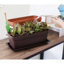 아파트 베란다 상추기르기 텃밭화분 식물인테리어 이밴트 개업, 브라운
