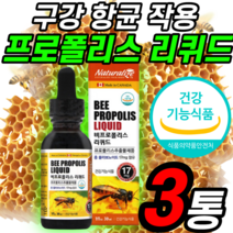 성장기 청소년 프로폴리스 리퀴드 수험생 고3 초등학생 중학생 고등학생 영양제 비프로폴리스 꿀 벌 액상 타입 약 X 푸로폴리스 무알콜 피로 피곤할 때 먹는 활력 회복 항산화제 항균제