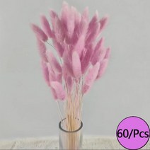 미니화분 자연 말린 꽃 토끼 꼬리 팜파스 갈대 꽃다발 웨딩 파티 장식 식물 3 개 구매시 1 무료 제, 21 R18