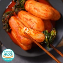 [식객명인] 전라도 총각김치 50년전통 김치맛집 100%국내산 알타리김치 당일생산 식객 허영만, 1개, 5kg