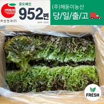 다양한 해돋이농산 인기 순위 TOP100 제품 추천